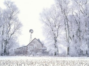 Postal: Nieve en el campo