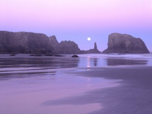 Postal: Luna iluminando una playa