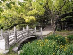Hermoso jardín japonés