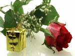 Una rosa y un regalo para San Valentín