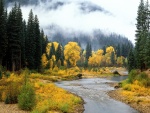 Un bonito río en otoño