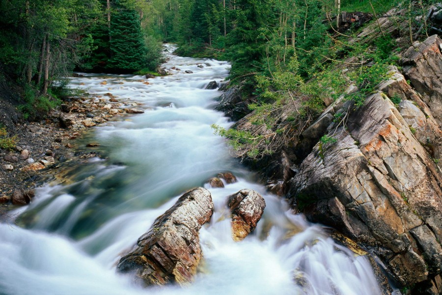 Río fluyendo entre árboles y rocas