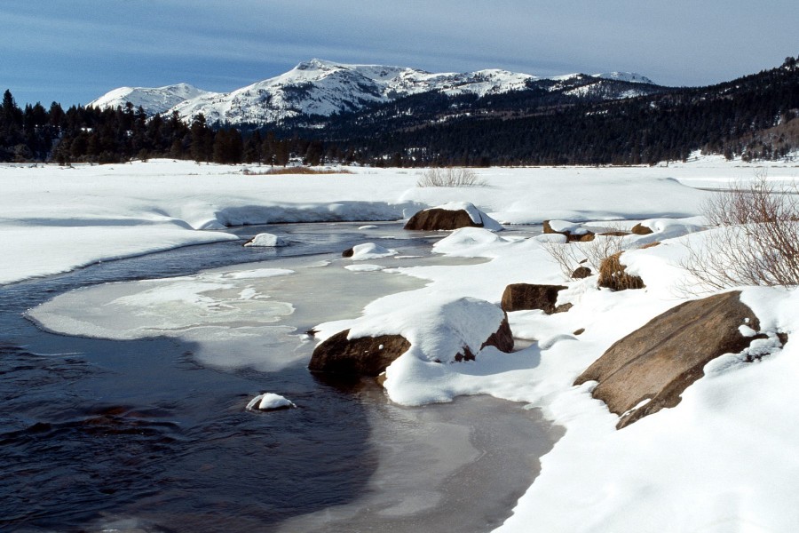 Bonito paisaje cubierto de nieve