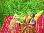 Gatito mirado la cesta de picnic