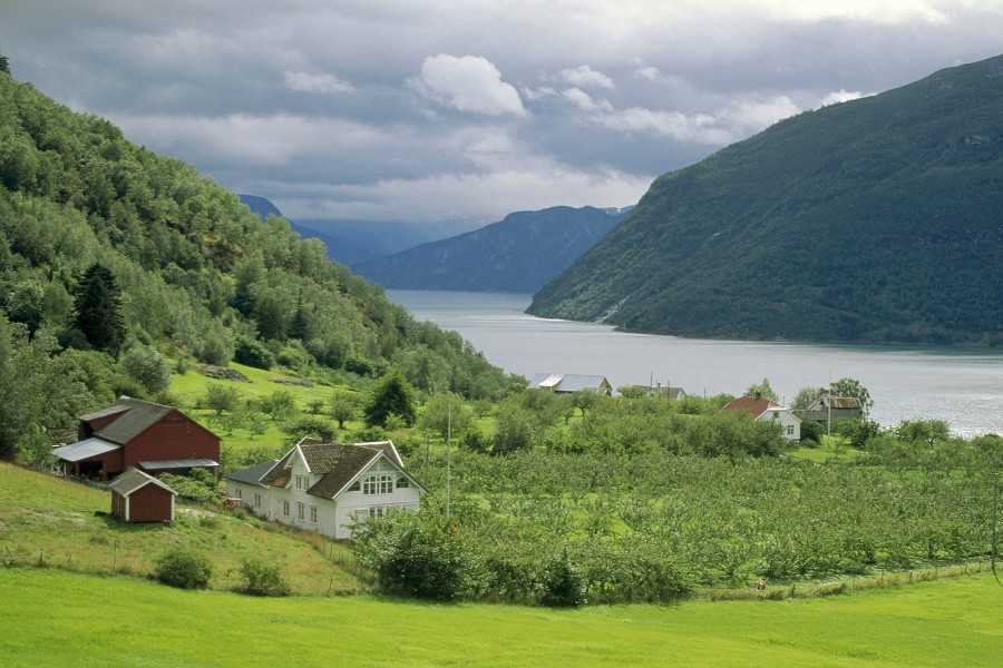 Casas junto al fiordo Sognefjord (Noruega)