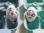 Historia de amor entre dos huevos