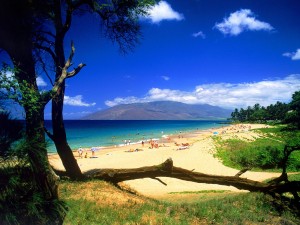 Postal: Playa natural en Hawái