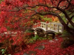 Puente en un bonito jardín japones