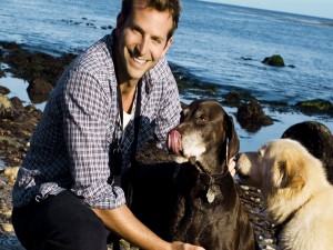 Postal: Bradley Cooper junto a dos perros
