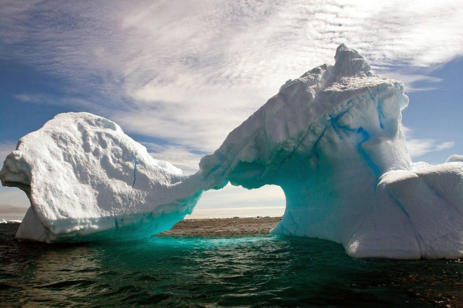 Icebergs tricolor