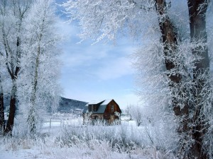Postal: Casa de madera en la nieve