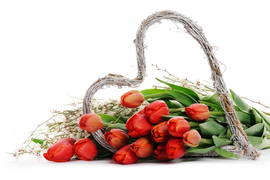 Tulipanes junto a un corazón