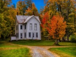 Casa rodeada de árboles en otoño