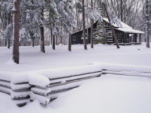 Cabaña en un bosque nevado