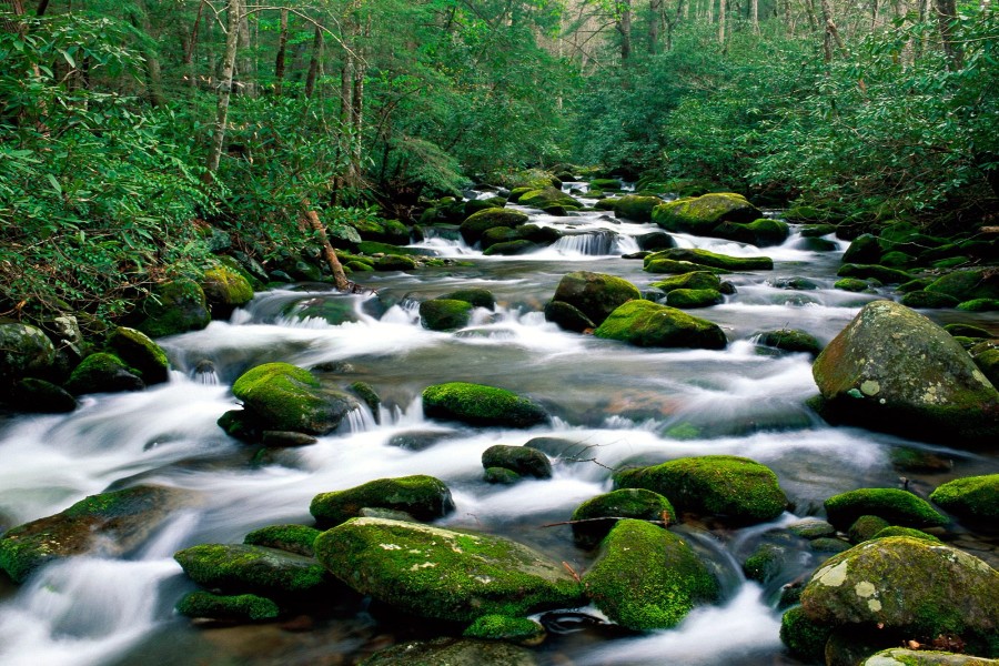 Bonito río rodeado de naturaleza