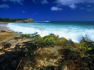 Costa rocosa en Hawái