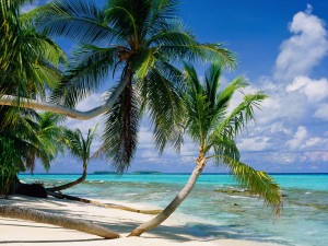Postal: Una playa tropical