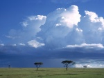 Masái Mara (Kenia)