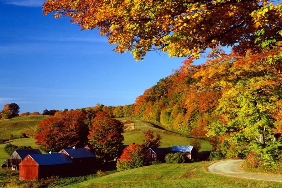Bonito otoño en Vermont