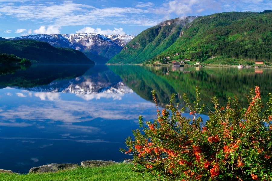 Ulvik (Fiordo de Hardanger, Noruega)