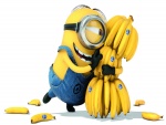 Al Minion Stuart le gustan los plátanos