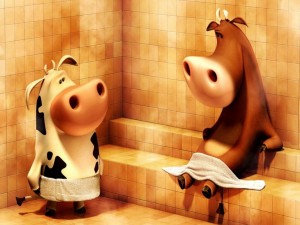Divertidas vacas en una sauna