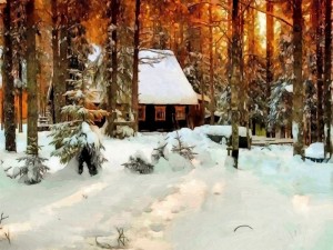 Atardecer de invierno en el bosque