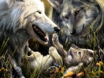 Familia de lobos