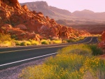 Carretera en Nevada