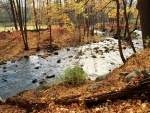 Un río fluyendo en otoño
