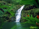 Cascada en Oahu (Hawái)