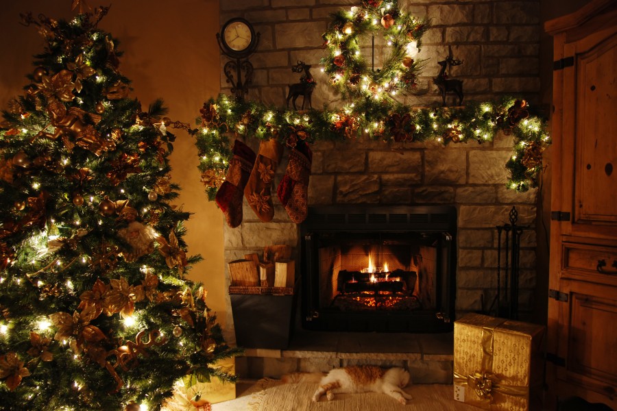 Gato durmiendo junto a la chimenea en la noche de Navidad