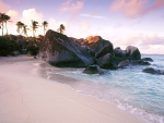 Grandes rocas y palmeras en una playa