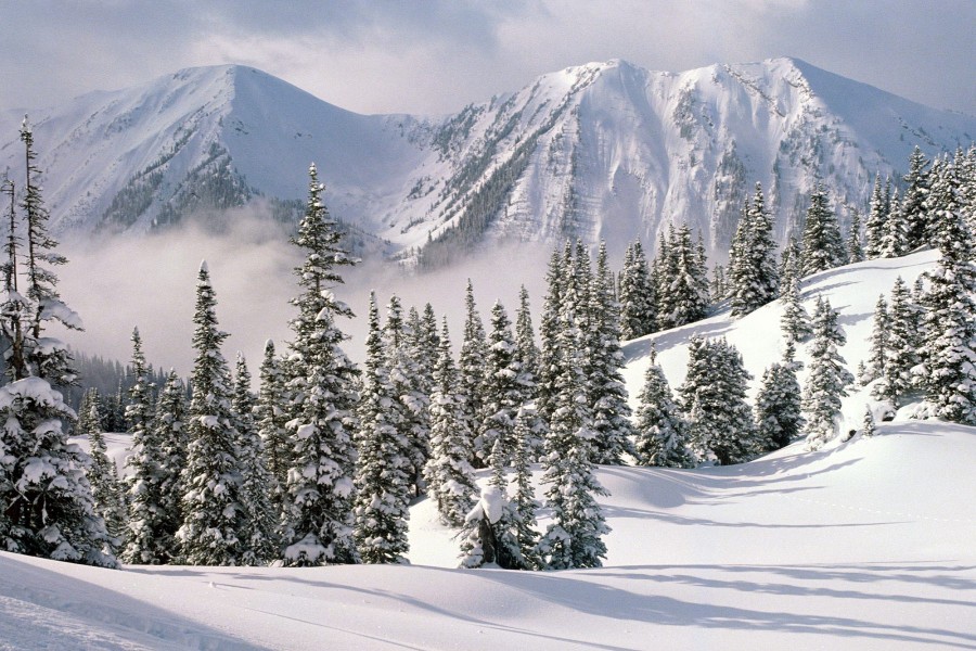Un hermoso paisaje nevado bajo las montañas
