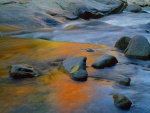 Piedras húmedas en el cauce del río