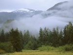 Niebla bajo las montañas