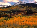 Los colores del otoño bajo unas montañas