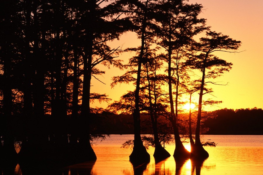 Sol en el lago Reelfoot (Tennessee)