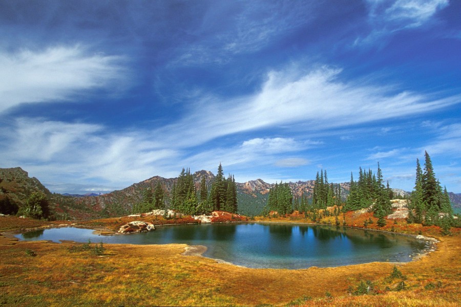 Pequeño lago bajo un cielo azul