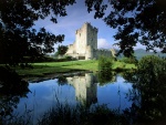 Castillo de Ross (Irlanda)
