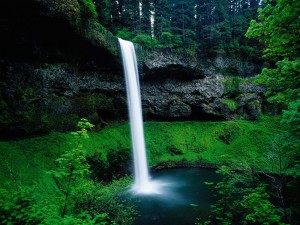 Hermosa cascada en el Parque Estatal Silver Falls (Oregón)