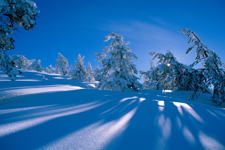 Sol brillando en un paisaje nevado