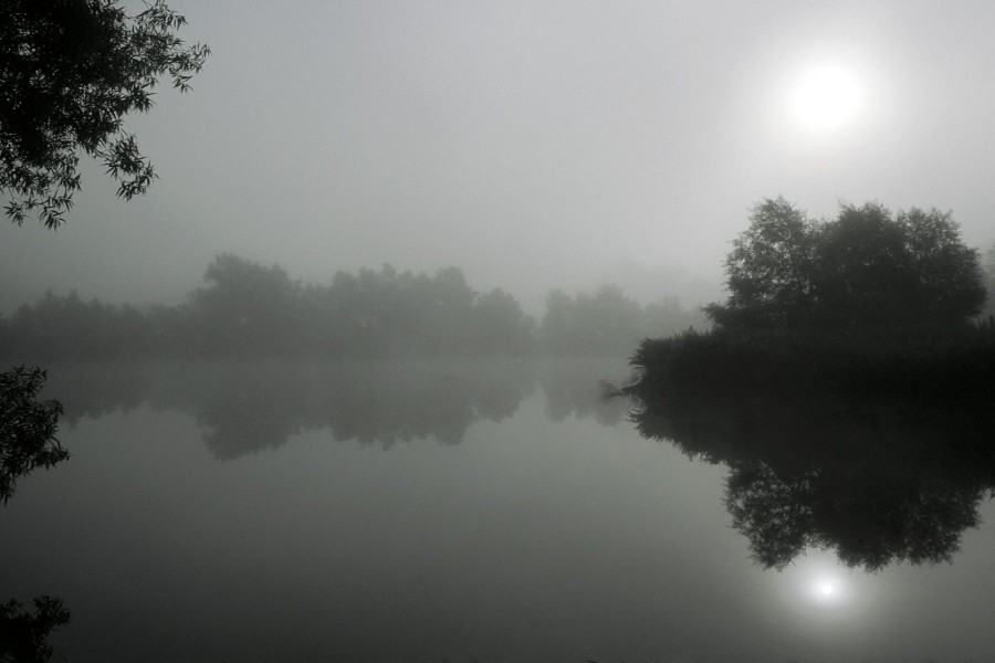 Niebla y sol sobre el lago