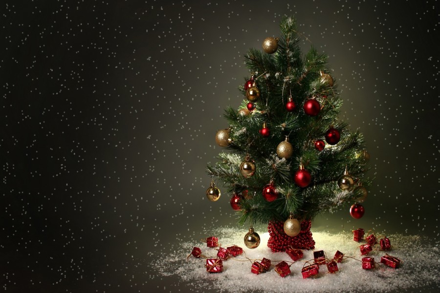 Regalitos junto a un árbol adornado para las fiestas navideñas