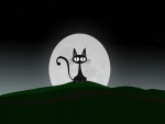 El gato de la luna