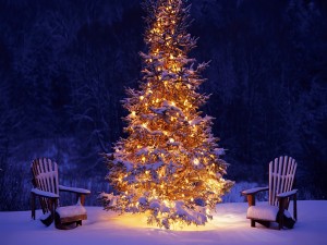 Dos sillas de madera cubiertas de nieve junto a un árbol de Navidad