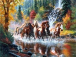 Caballos trotando por el río