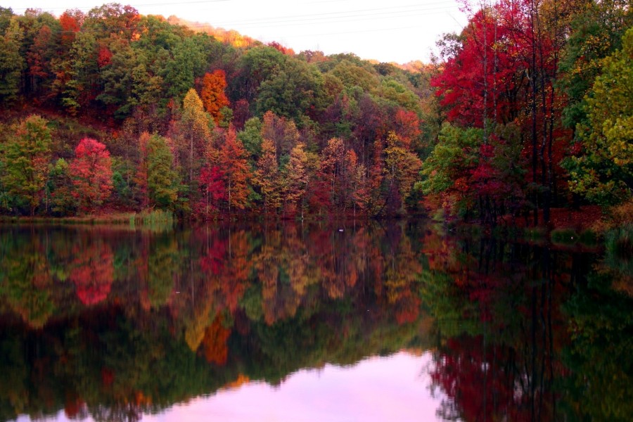 Río que refleja los colores de los árboles
