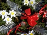 Lazo rojo y flores blancas en un adorno para Navidad