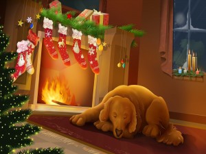 Perrito esperando la Navidad